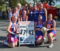 B Grade Premiers 2013 Sale City